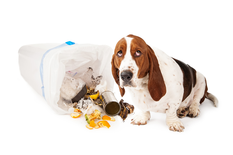 Supportive and Judgement-Free Hoarder Clean Up and Clutter Removal Services
